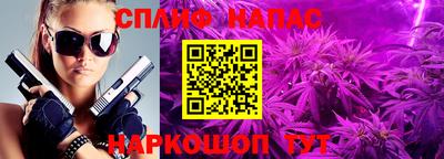 ГАЛЛЮЦИНОГЕННЫЕ ГРИБЫ Татарск